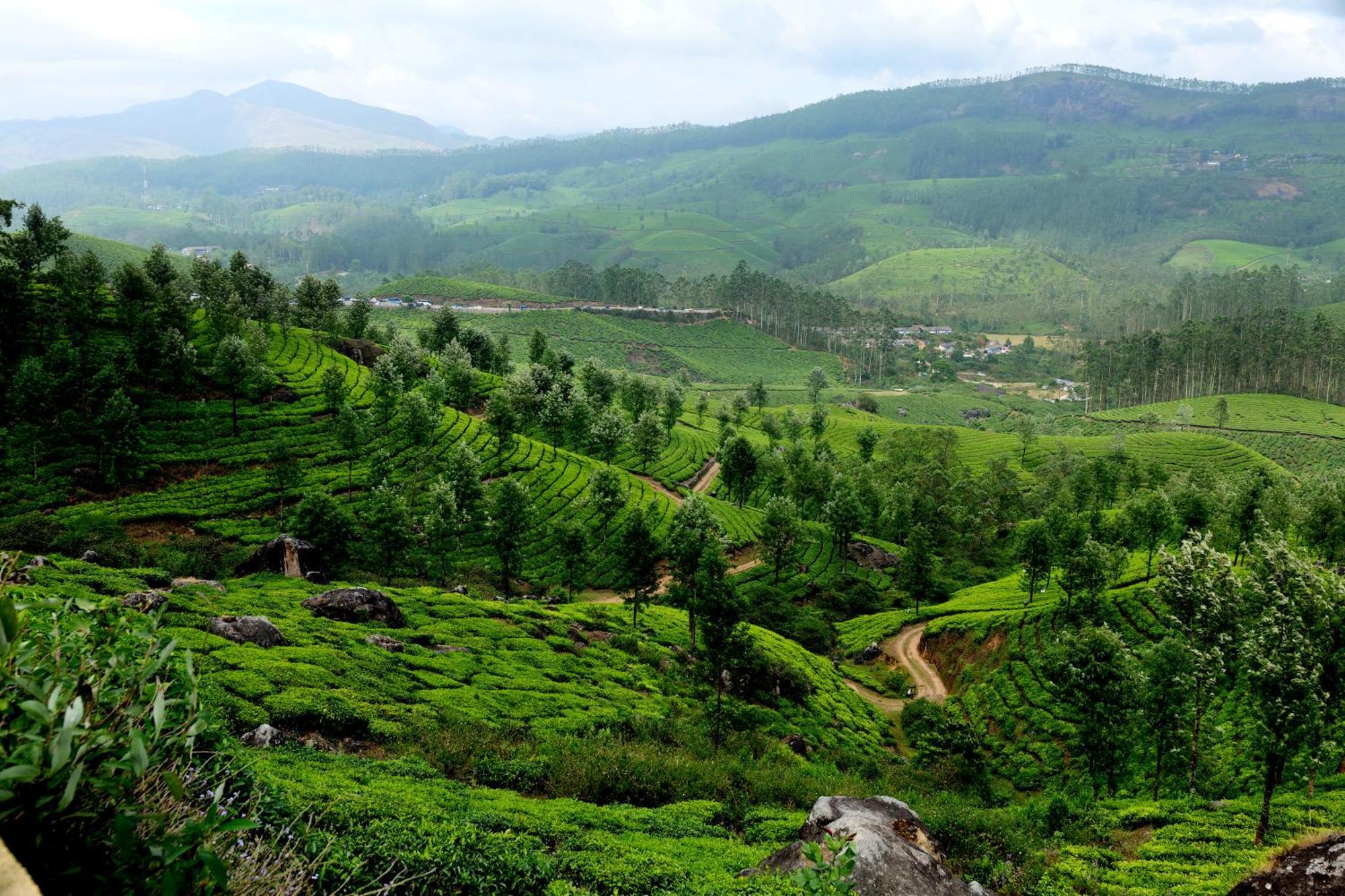 Mountain Club Resort Munnar Chinnakanal Zewnętrze zdjęcie
